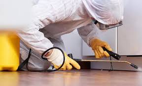 Best Pest Prevention Services  in New City, NY